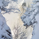 Bavaria in Winter