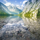 Obersee: Clear Water