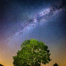 Starry Night in Bavaria